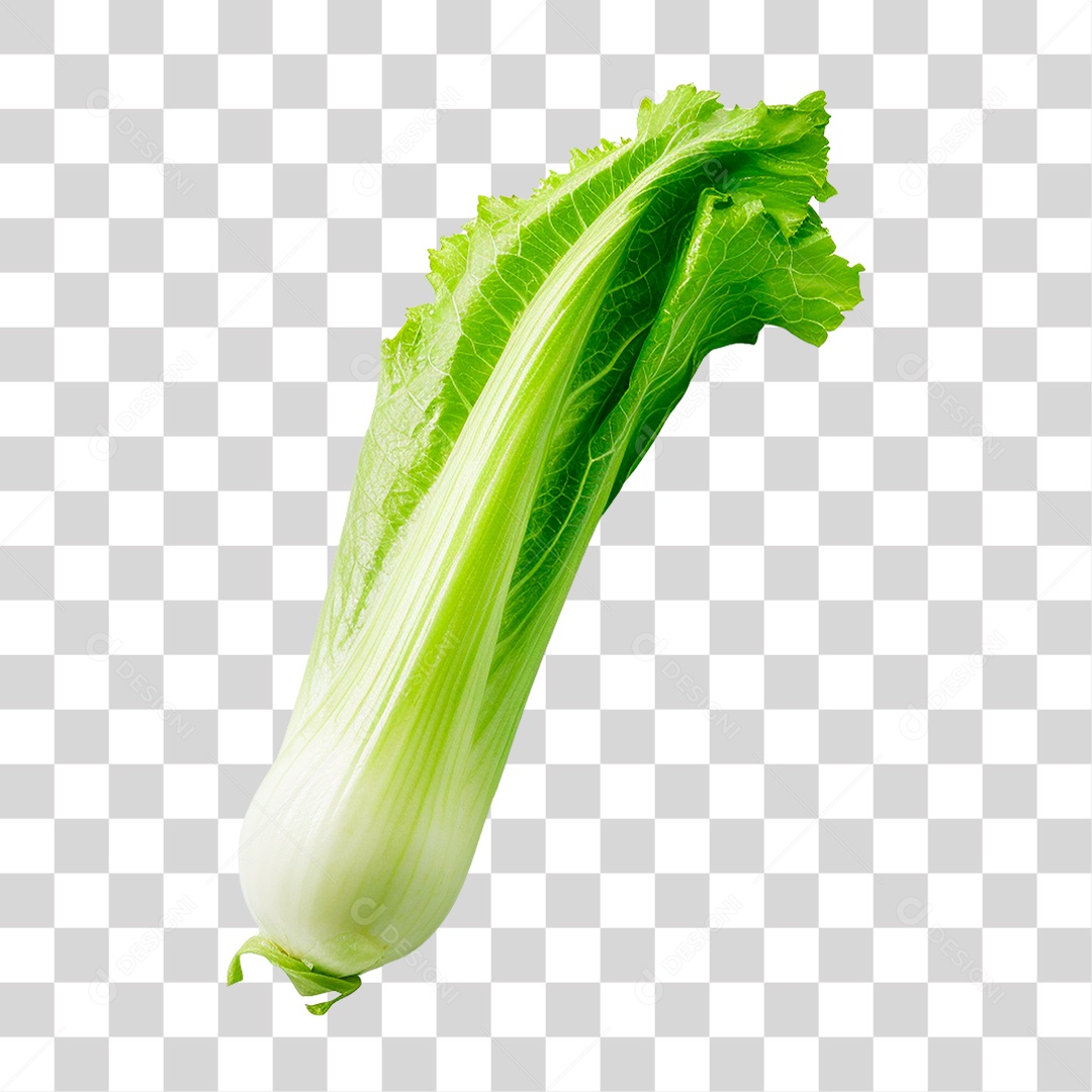 Folhas de Alface PNG Transparente