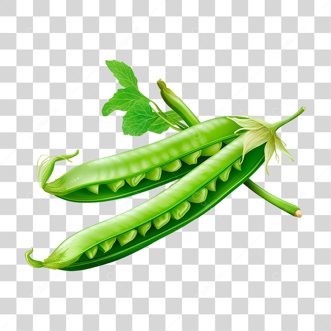 Ervilha PNG Transparente