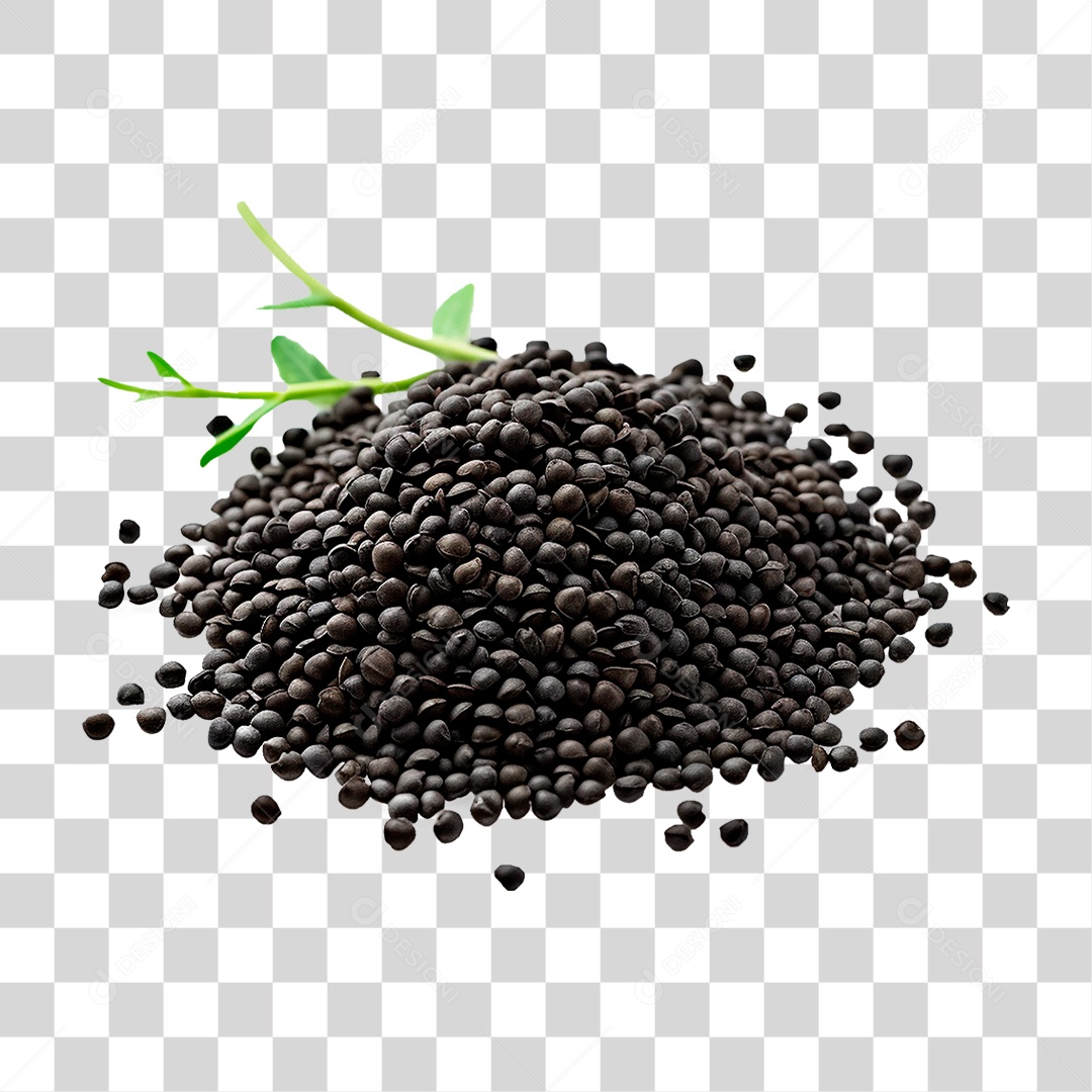 Caviar PNG Transparente