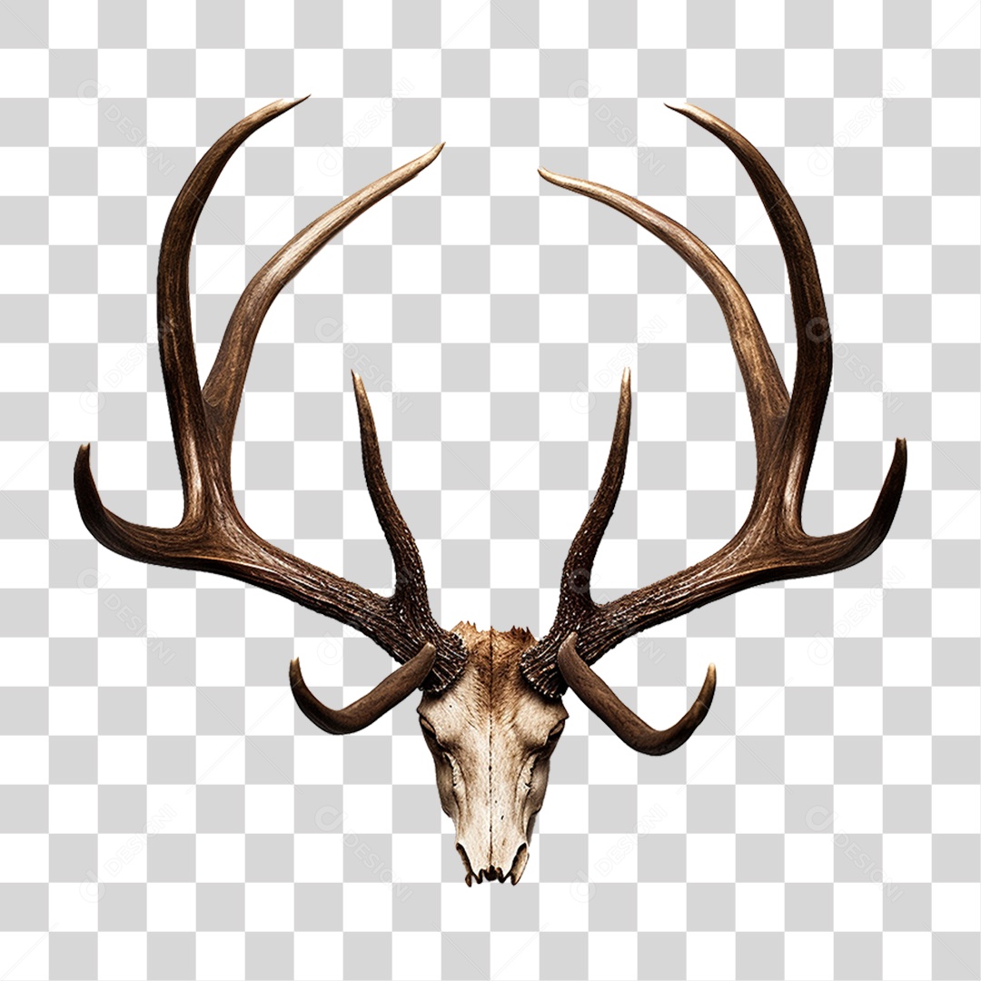 Cifres de Cervo PNG Transparente