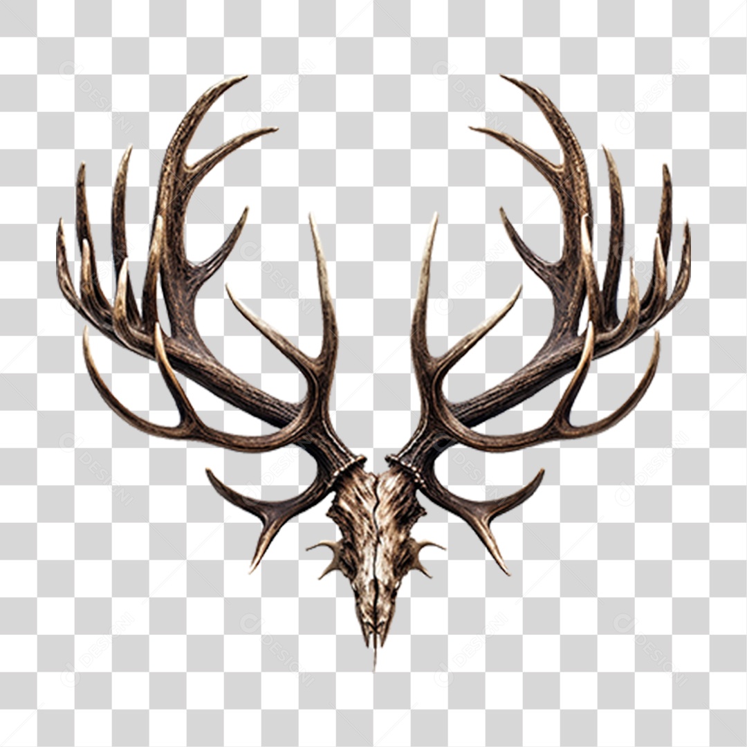 Cifres de Cervo PNG Transparente