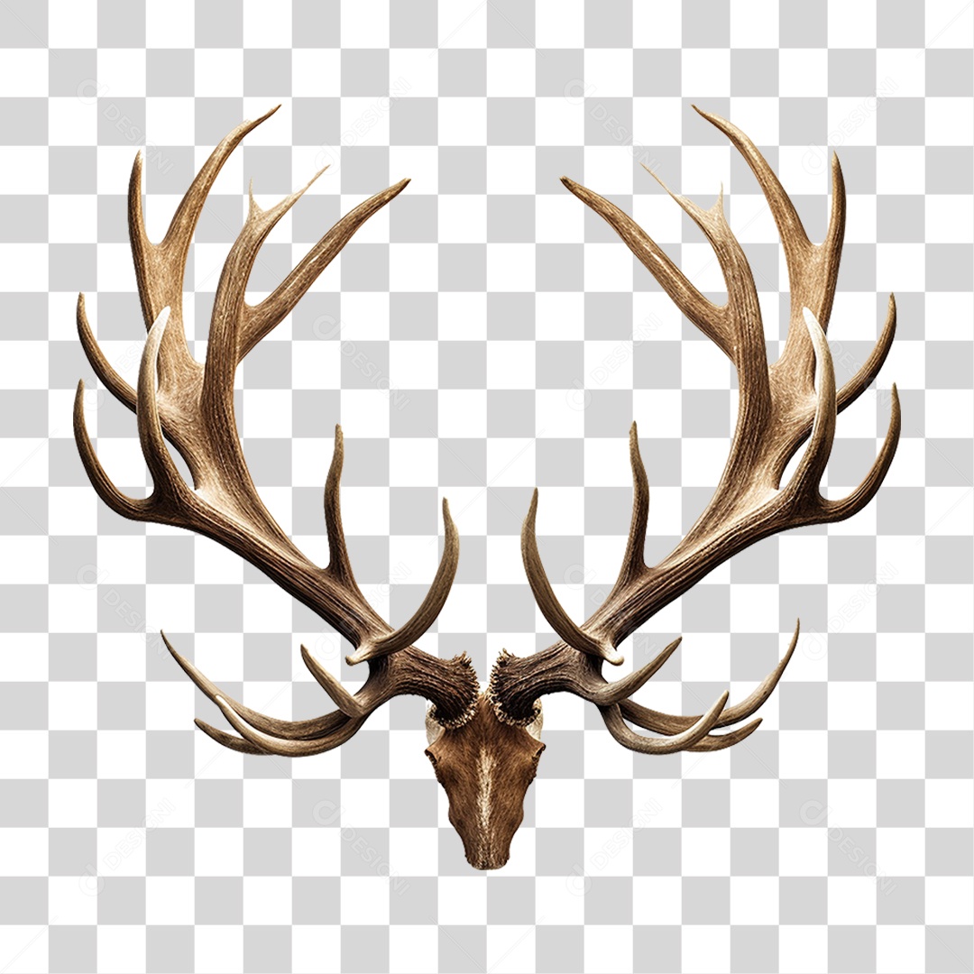 Cifres de Cervo PNG Transparente