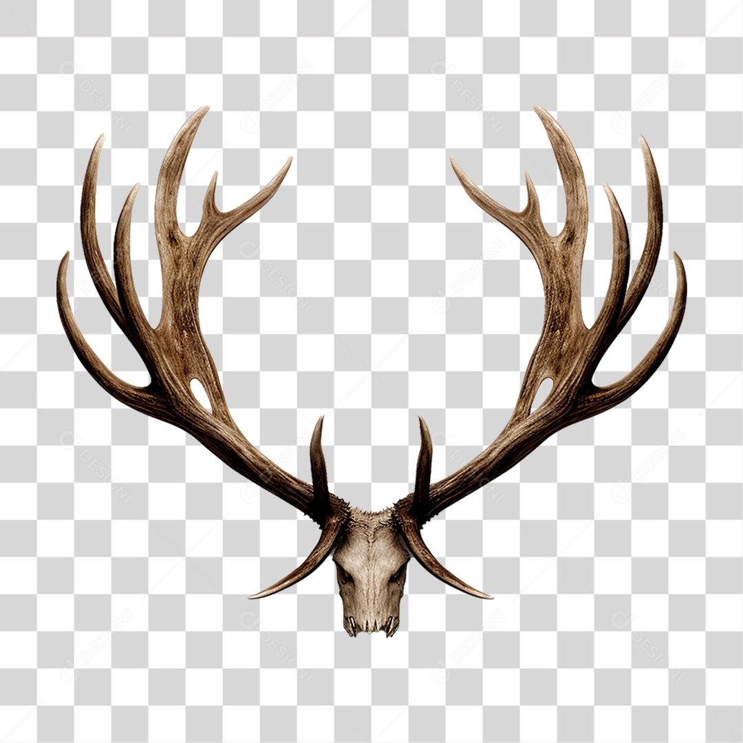 Cifres de Cervo PNG Transparente