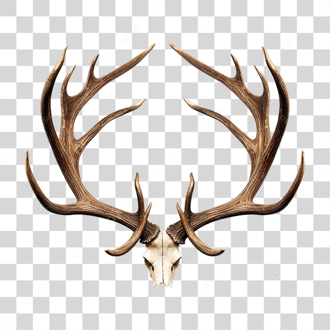 Cifres de Cervo PNG Transparente