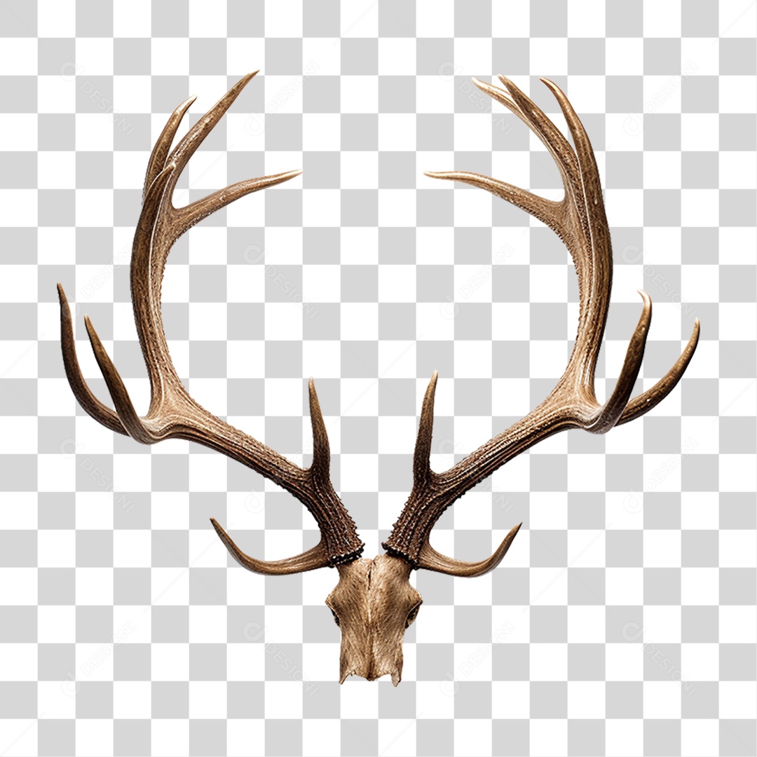 Cifres de Cervo PNG Transparente