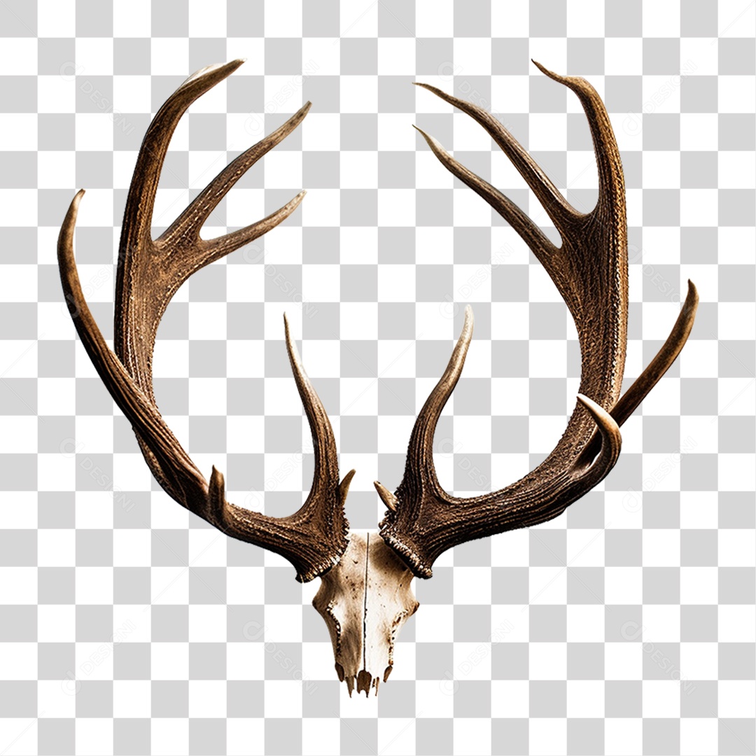 Cifres de Cervo PNG Transparente
