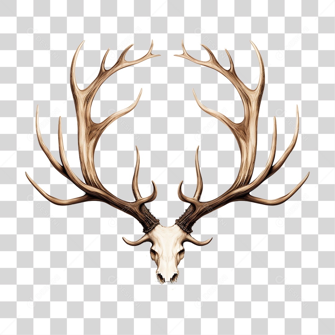 Cifres de Cervo PNG Transparente