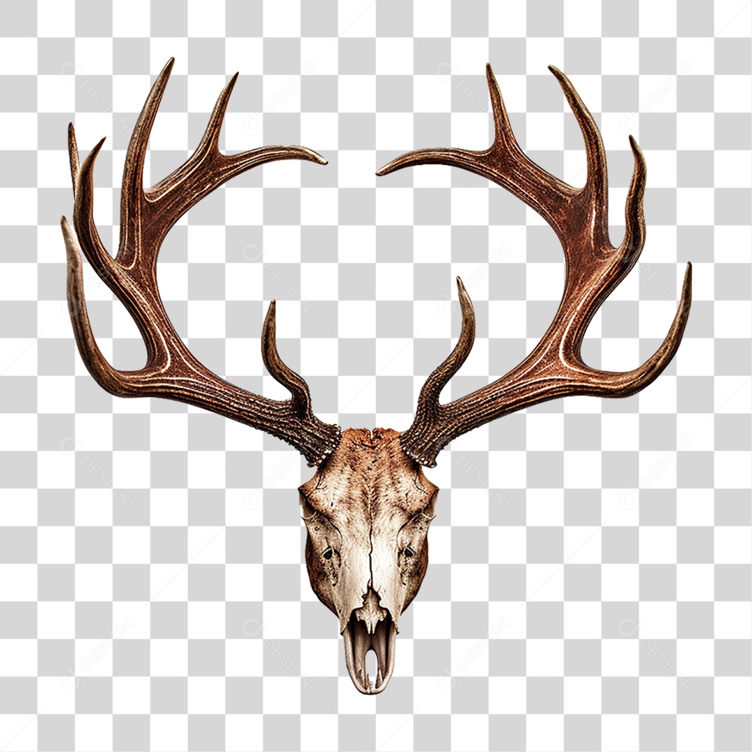 Cifres de Cervo PNG Transparente