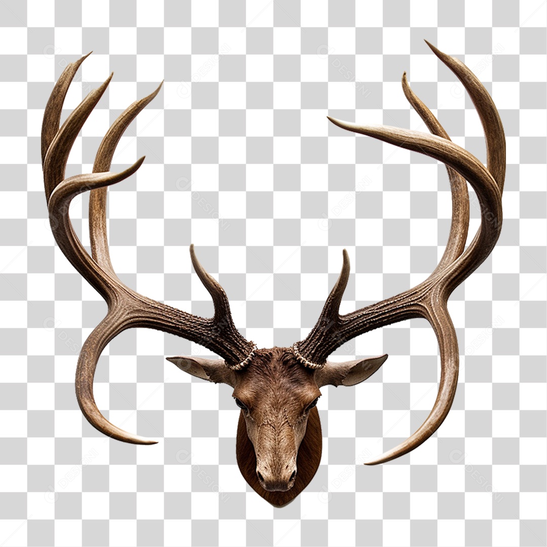 Cifres de Cervo PNG Transparente