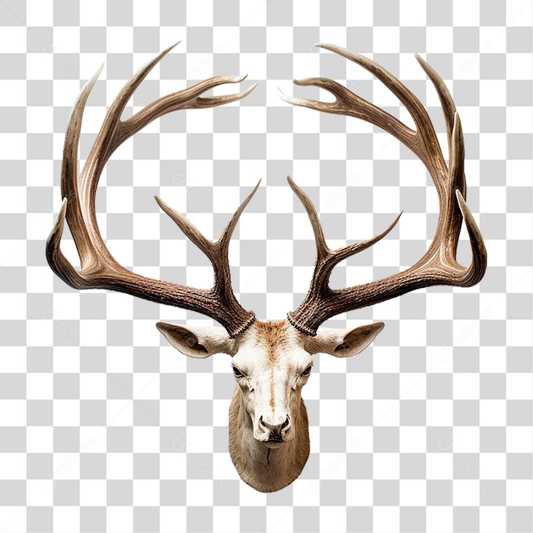 Cifres de Cervo PNG Transparente