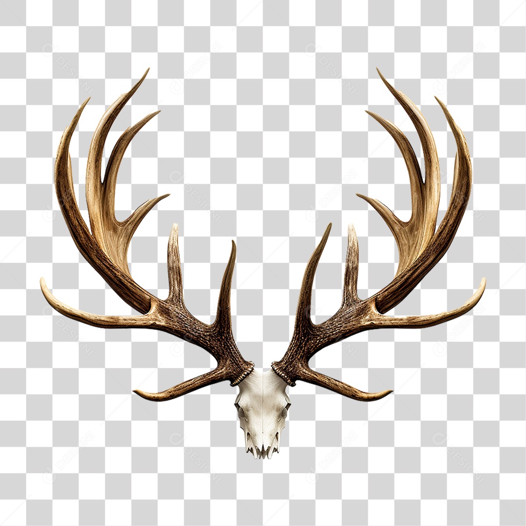 Cifres de Cervo PNG Transparente