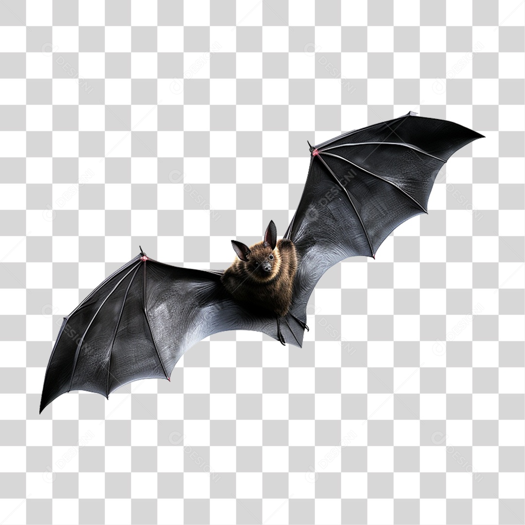 Morcego Voador PNG Transparente
