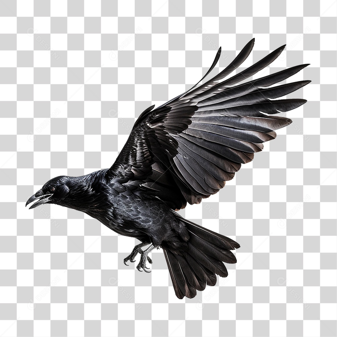 Corvo Pássaro Preto PNG Transparente