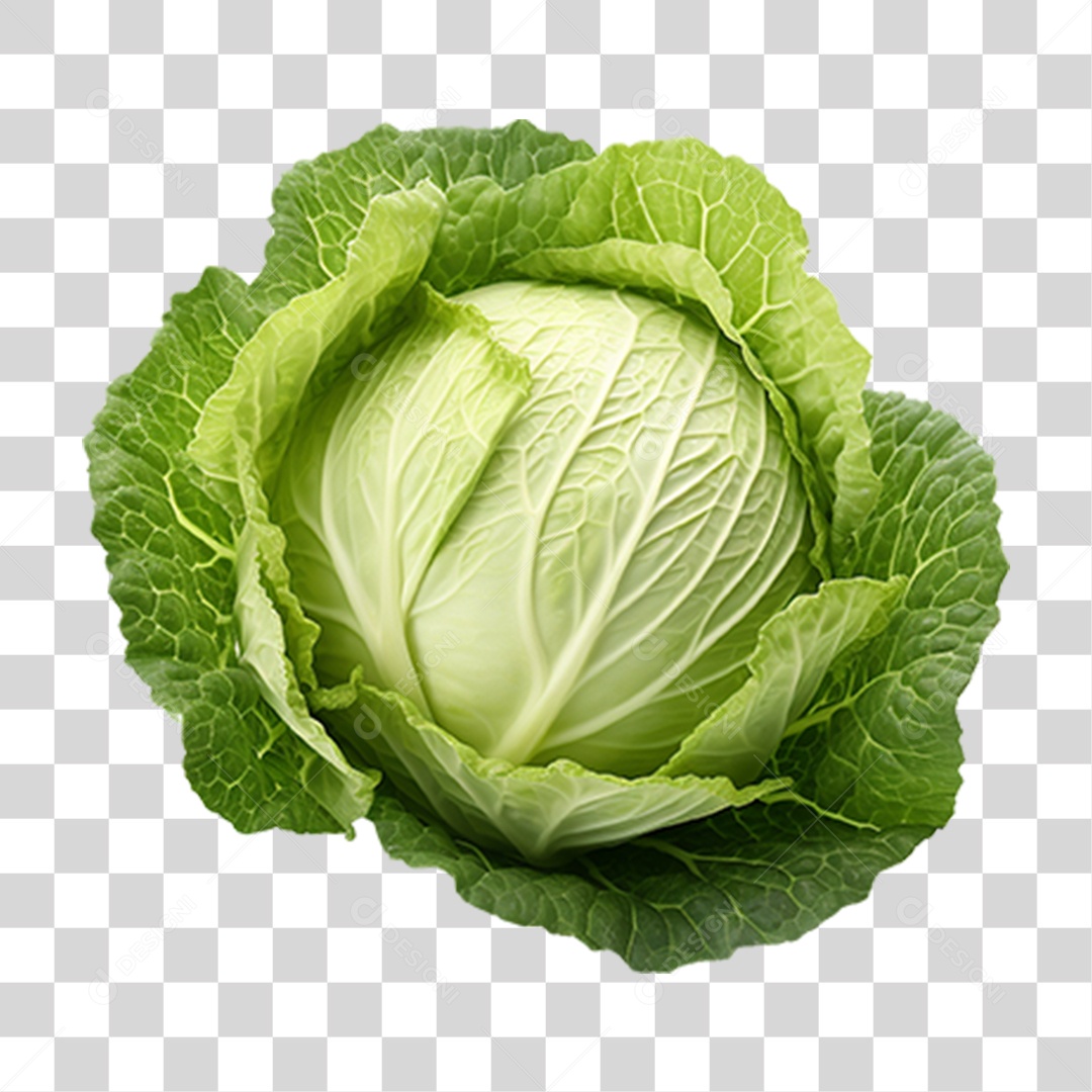 Repolho Vegetal Legumes PNG Transparente