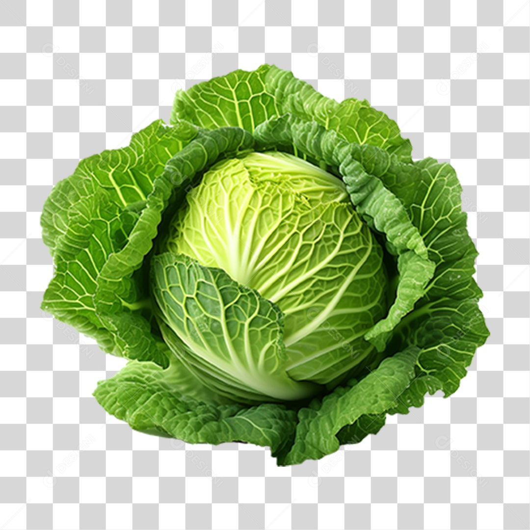 Repolho Vegetal Legumes PNG Transparente