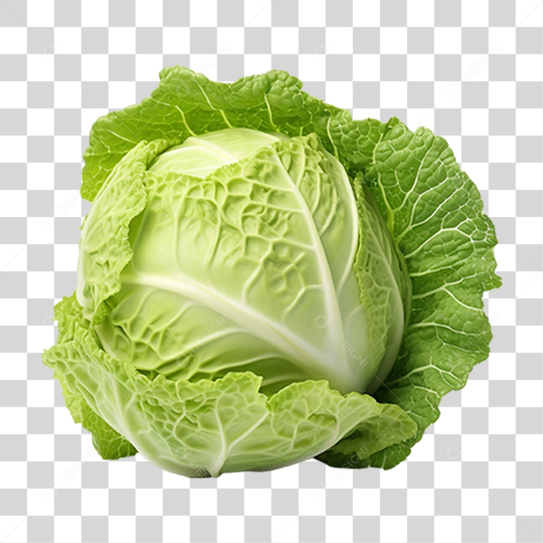 Repolho Vegetal Legumes PNG Transparente