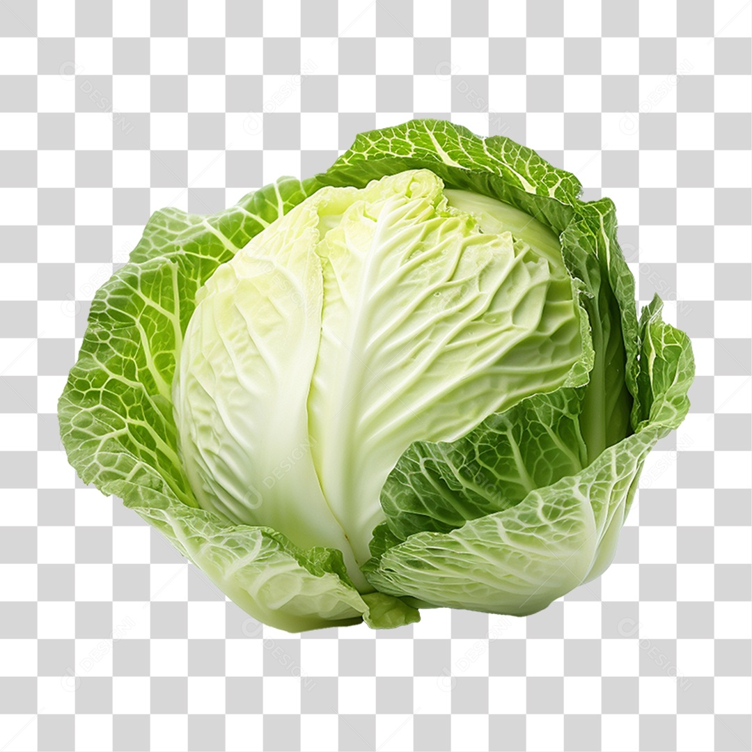 Repolho Vegetal Legumes PNG Transparente