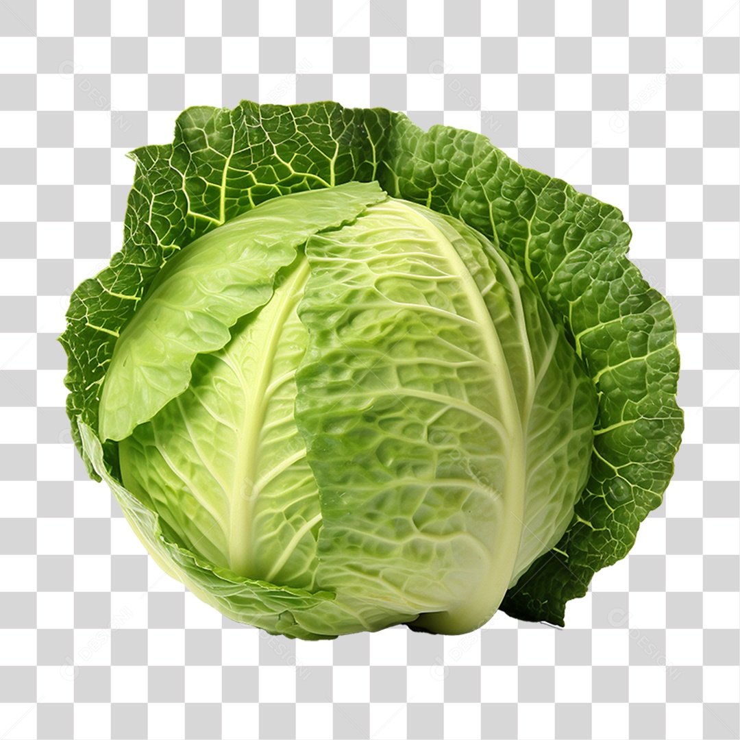 Repolho Vegetal Legumes PNG Transparente