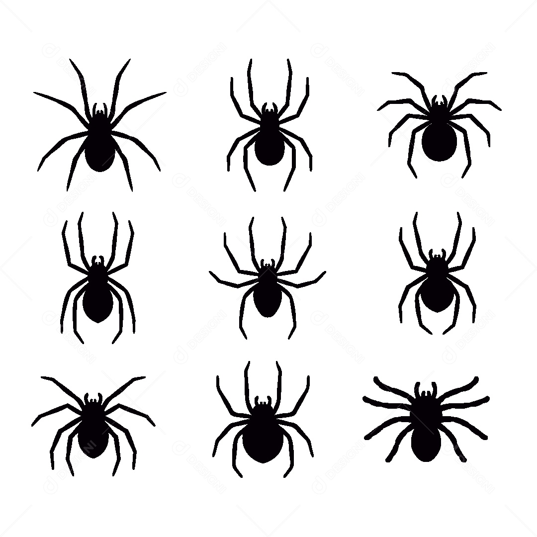 Conjunto de Aranhas Ilustração Vetor EPS