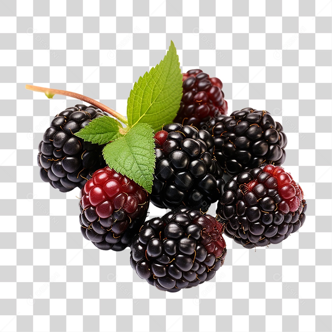 Frutas Amoras PNG Transparente