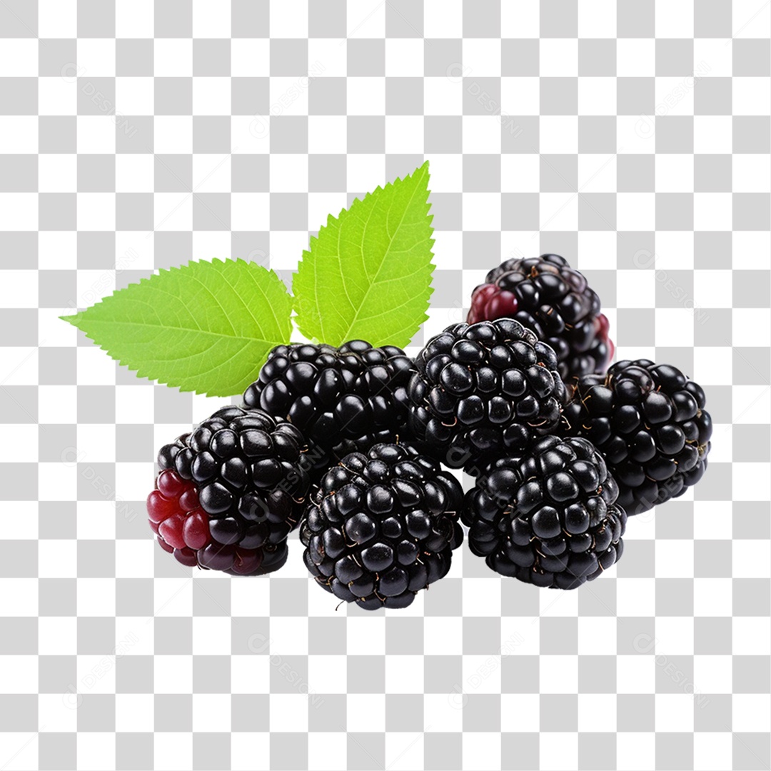 Frutas Amoras PNG Transparente