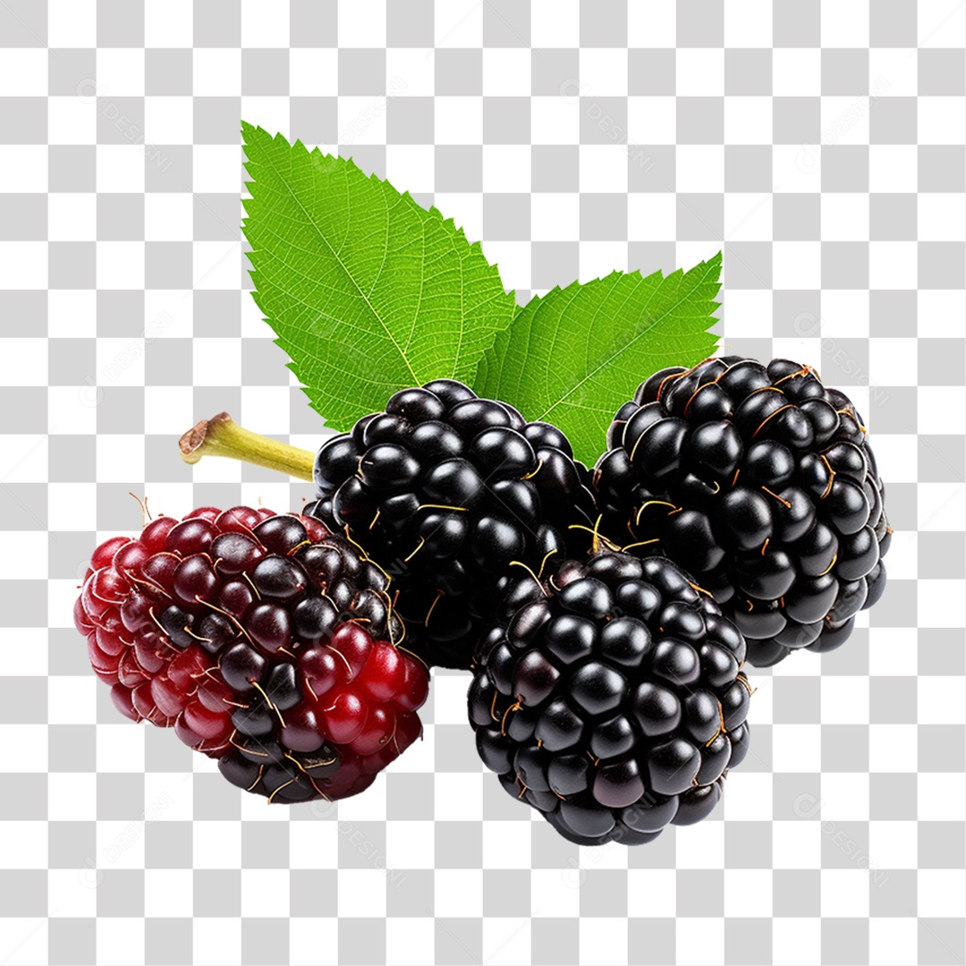 Frutas Amoras PNG Transparente