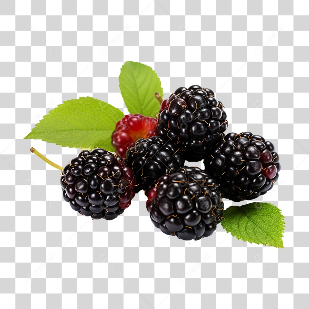 Frutas Amoras PNG Transparente