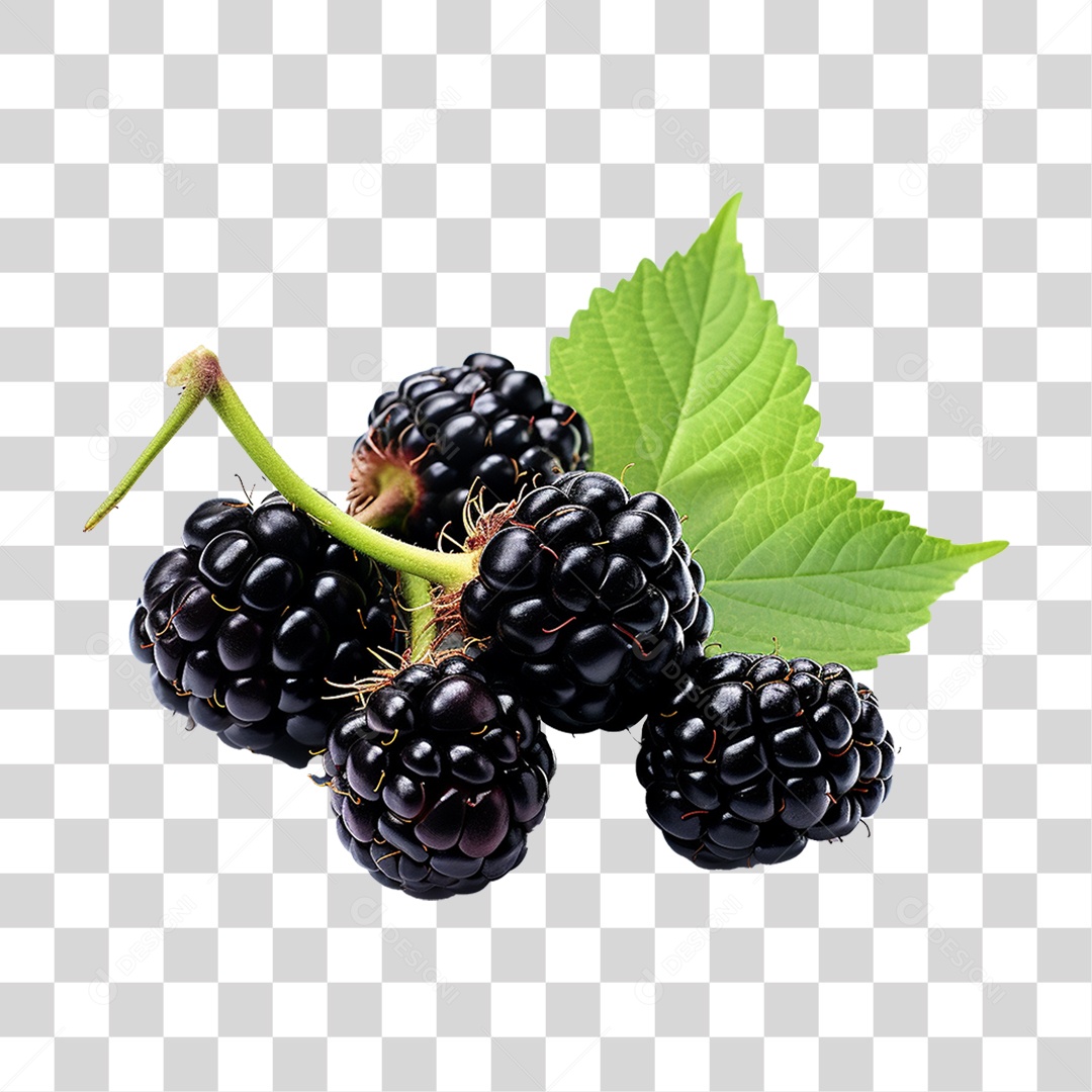 Frutas Amoras PNG Transparente