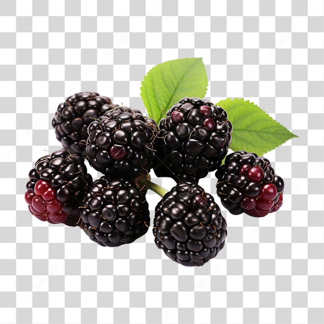 Frutas Amoras PNG Transparente