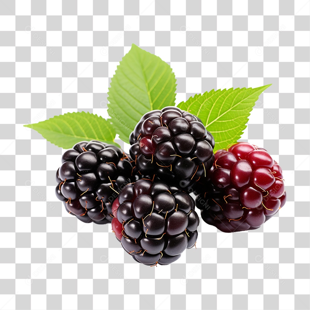 Frutas Amoras PNG Transparente