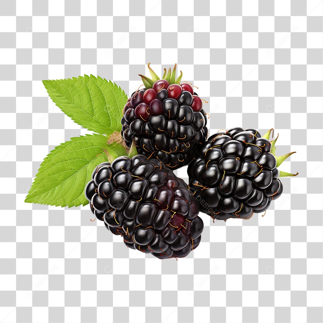 Frutas Amoras PNG Transparente