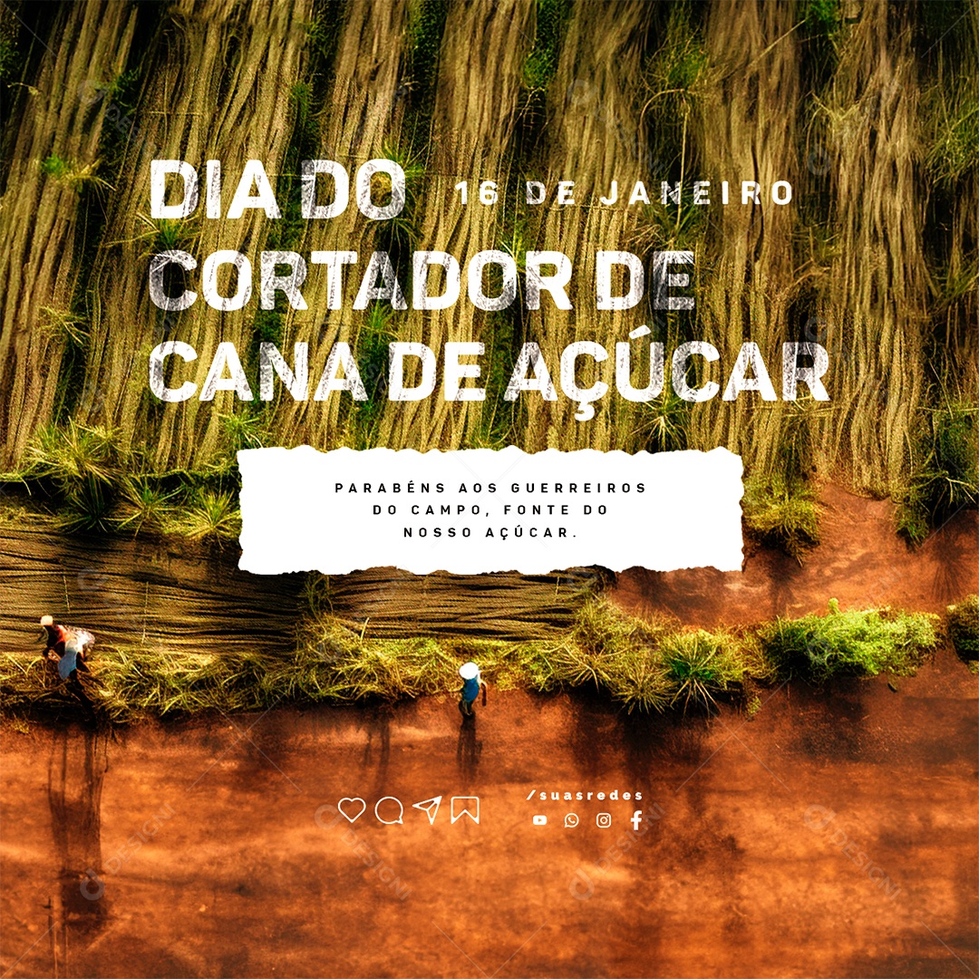 Dia do Cortador de Cana de Açúcar Parabéns aos Guerreiros do Campo Social Media PSD Editável