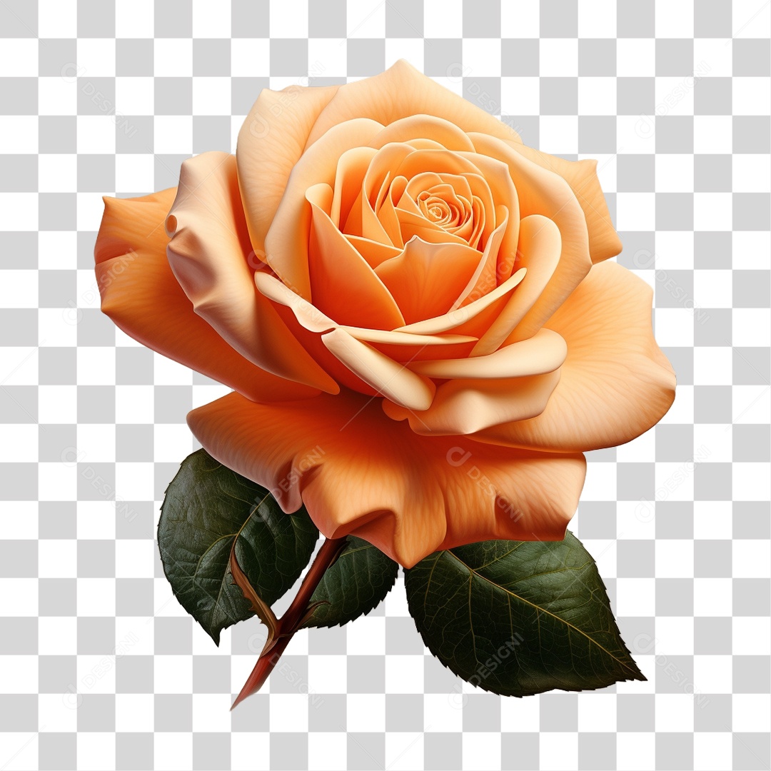 Flores Rosas PNG Transparente