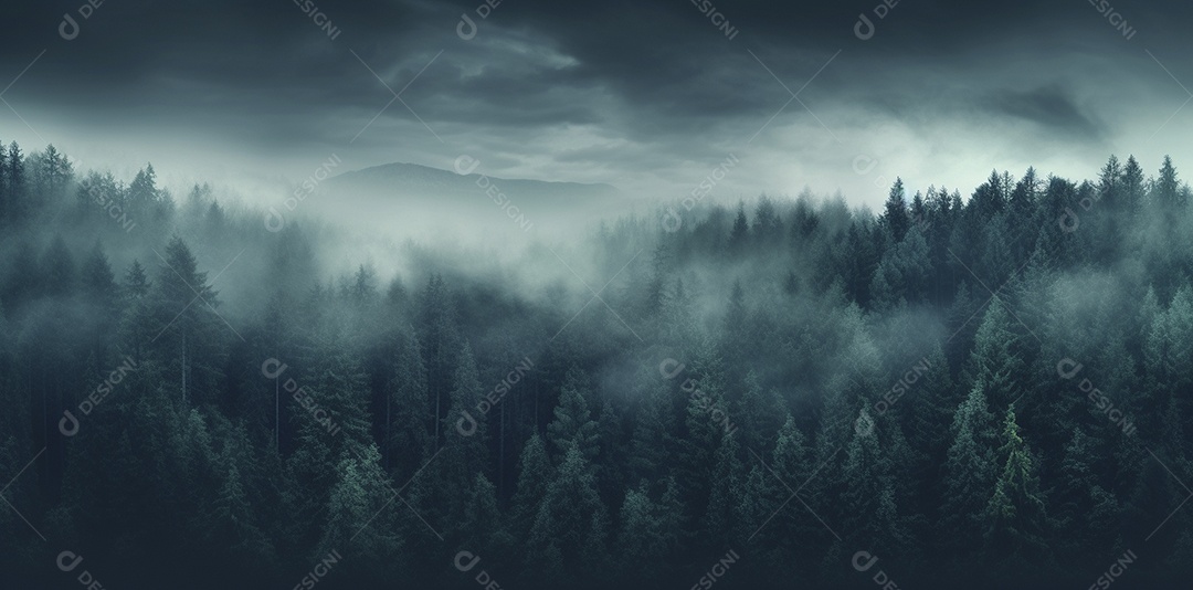 Linda floresta com névoa nublada ao redor das árvores