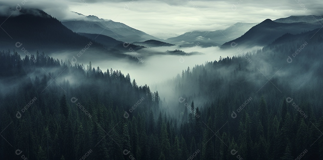 Linda floresta com névoa nublada ao redor das árvores