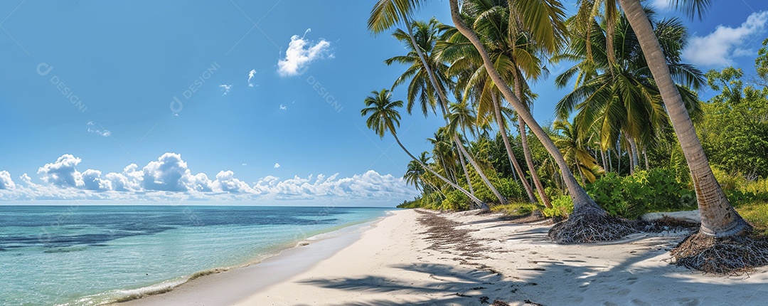 Uma praia com palmeiras e céu azul claro