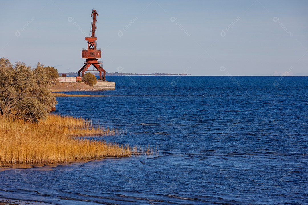 Lindas ondas de uma praia