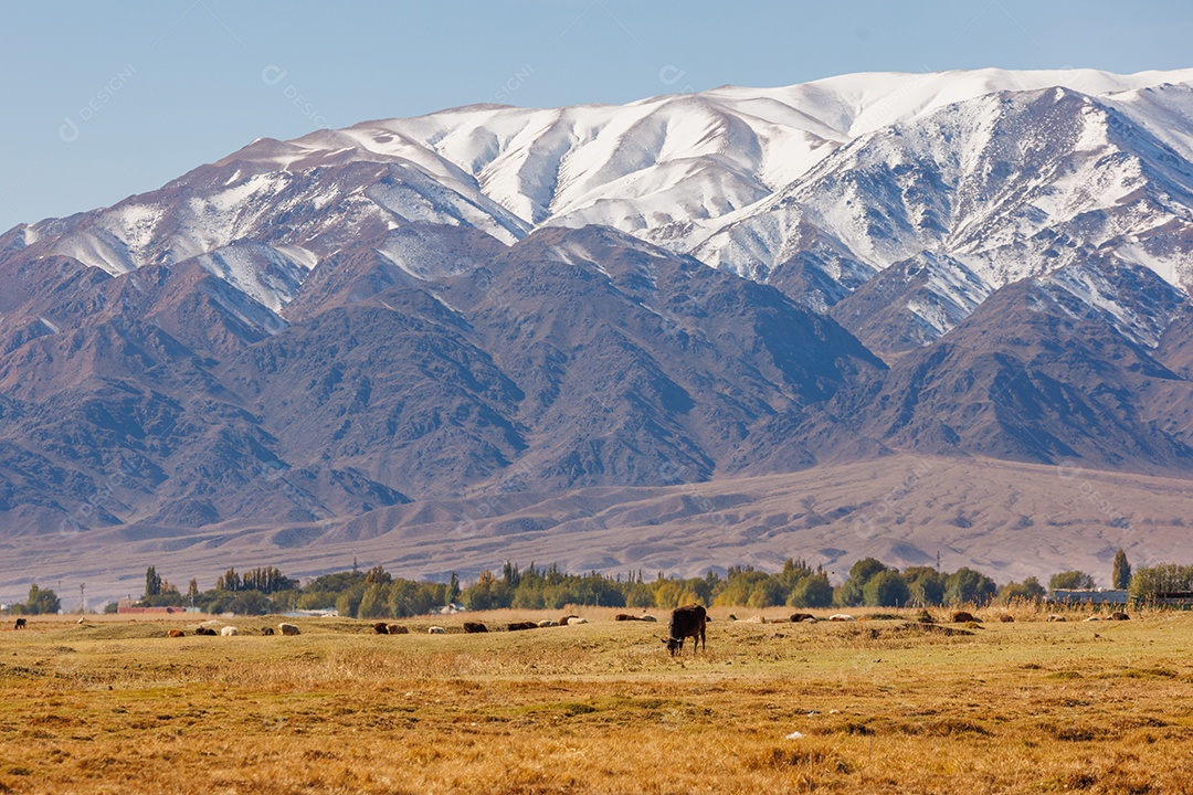 Linda paisagem de uma fazenda