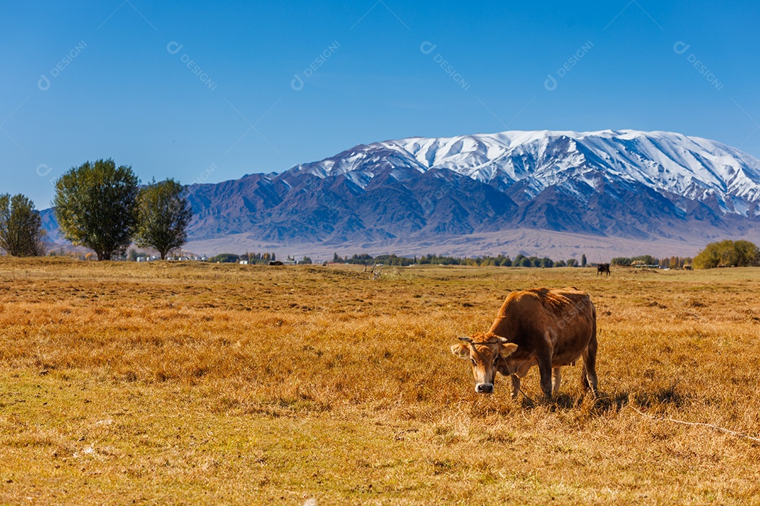 Linda paisagem de uma fazenda