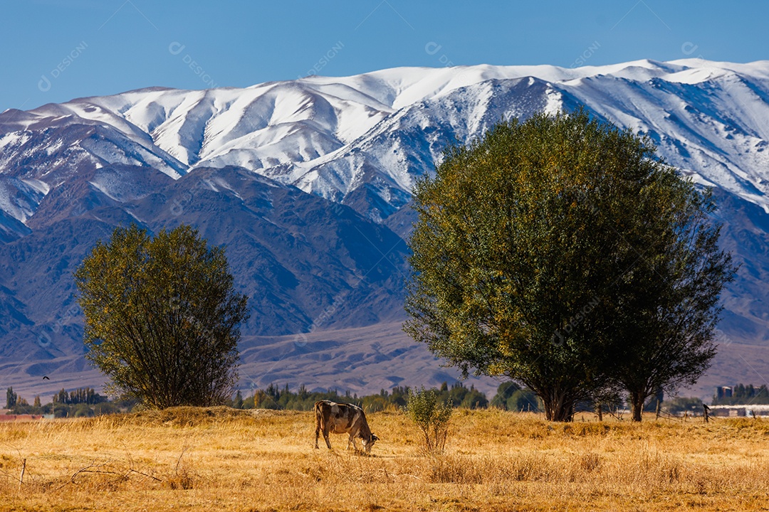 Linda paisagem de uma fazenda
