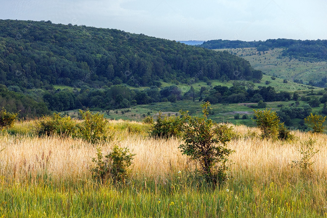 Linda paisagem de uma fazenda