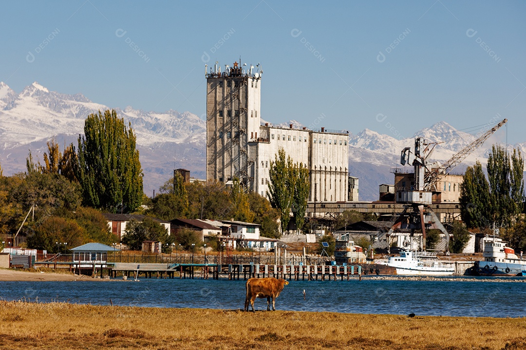 Linda paisagem de uma fazenda
