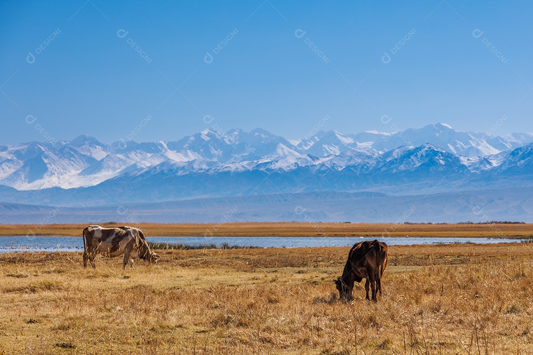 Linda paisagem de uma fazenda