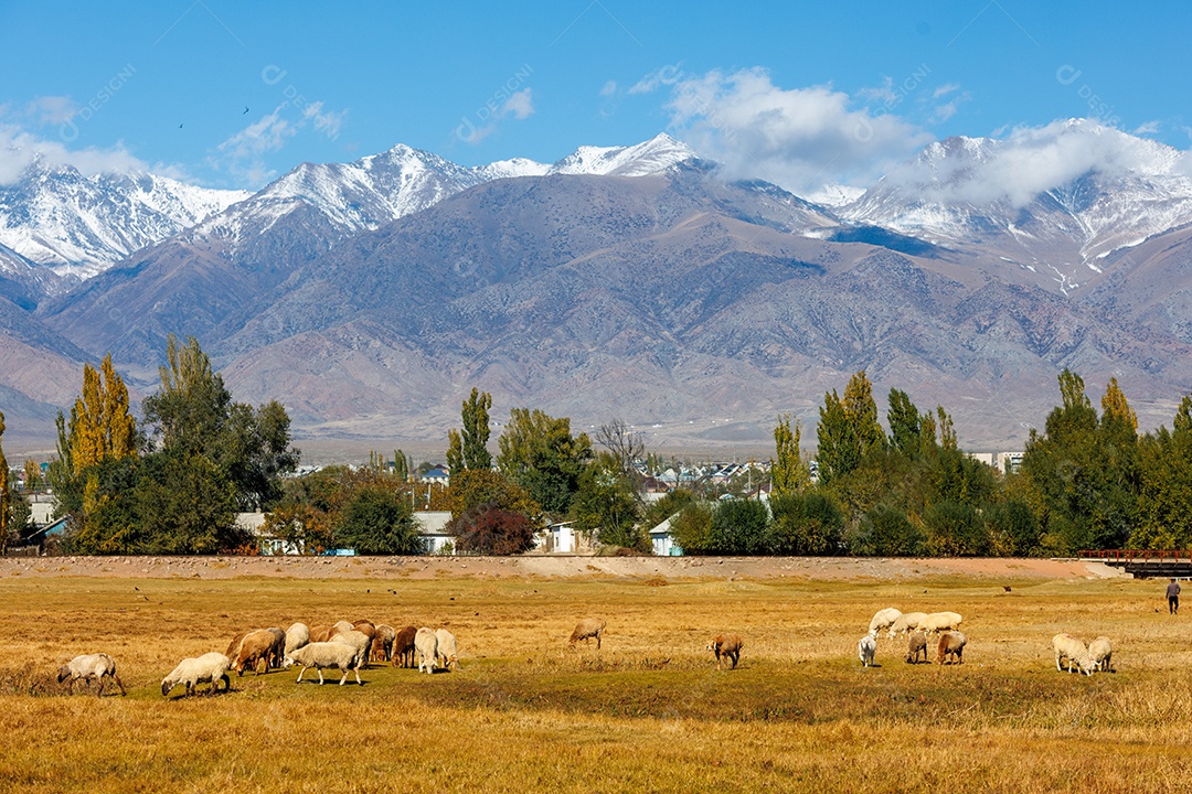Linda paisagem de uma fazenda