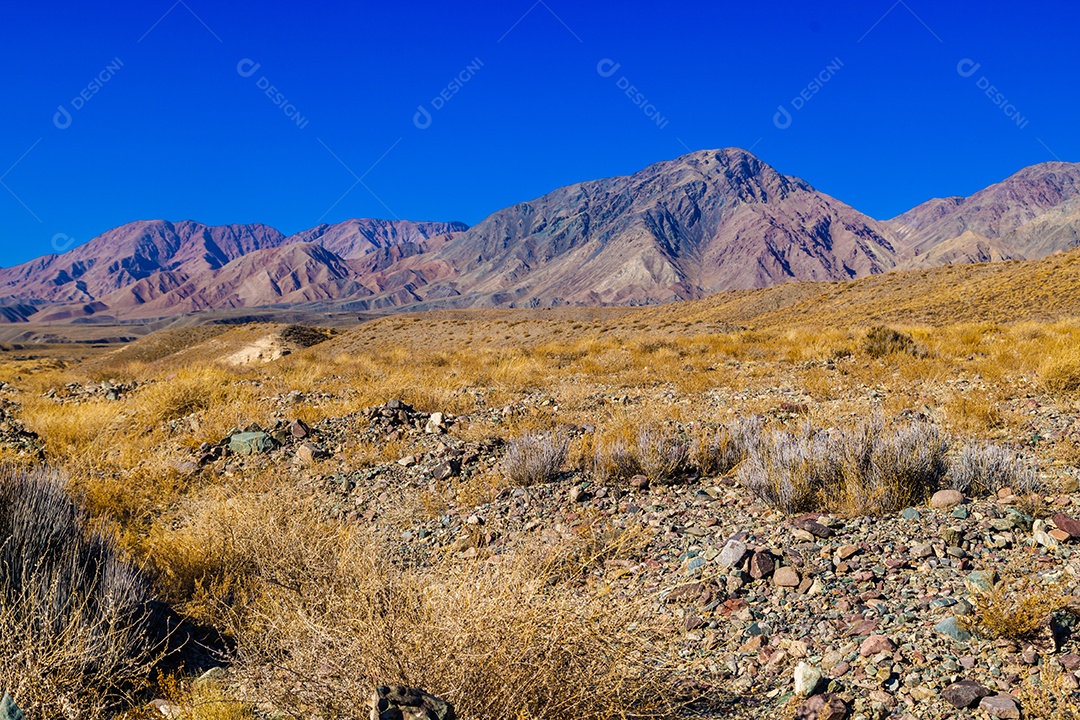 Linda paisagem com montanha