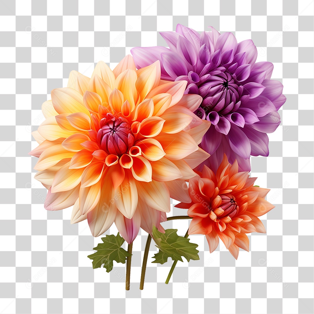 Flores Rosas Plantas PNG Transparente