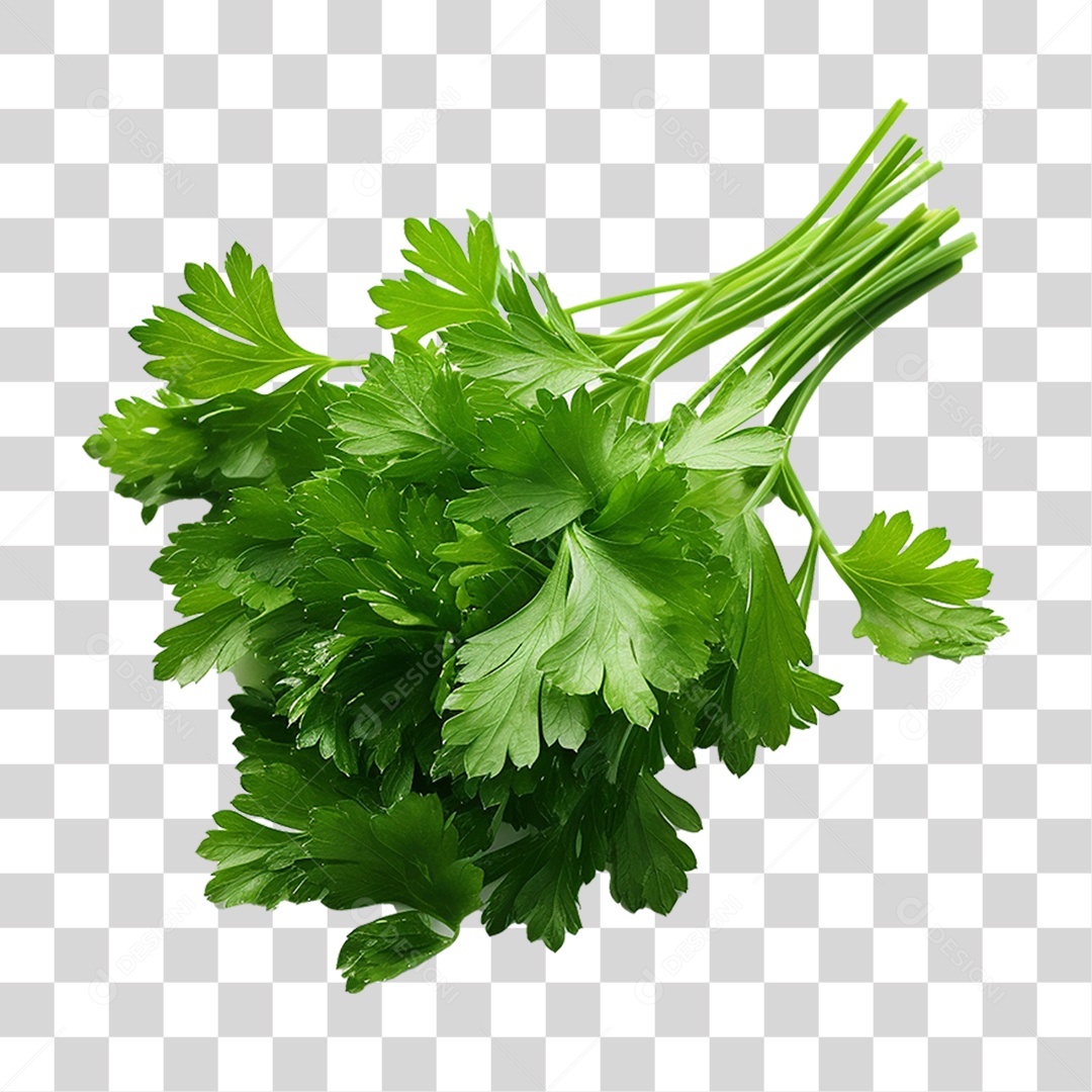 Salsinha Folha Verde PNG Transparente