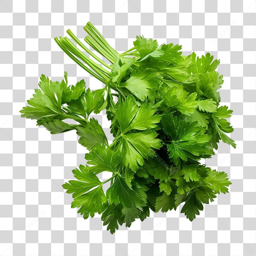 Salsinha Folha Verde PNG Transparente