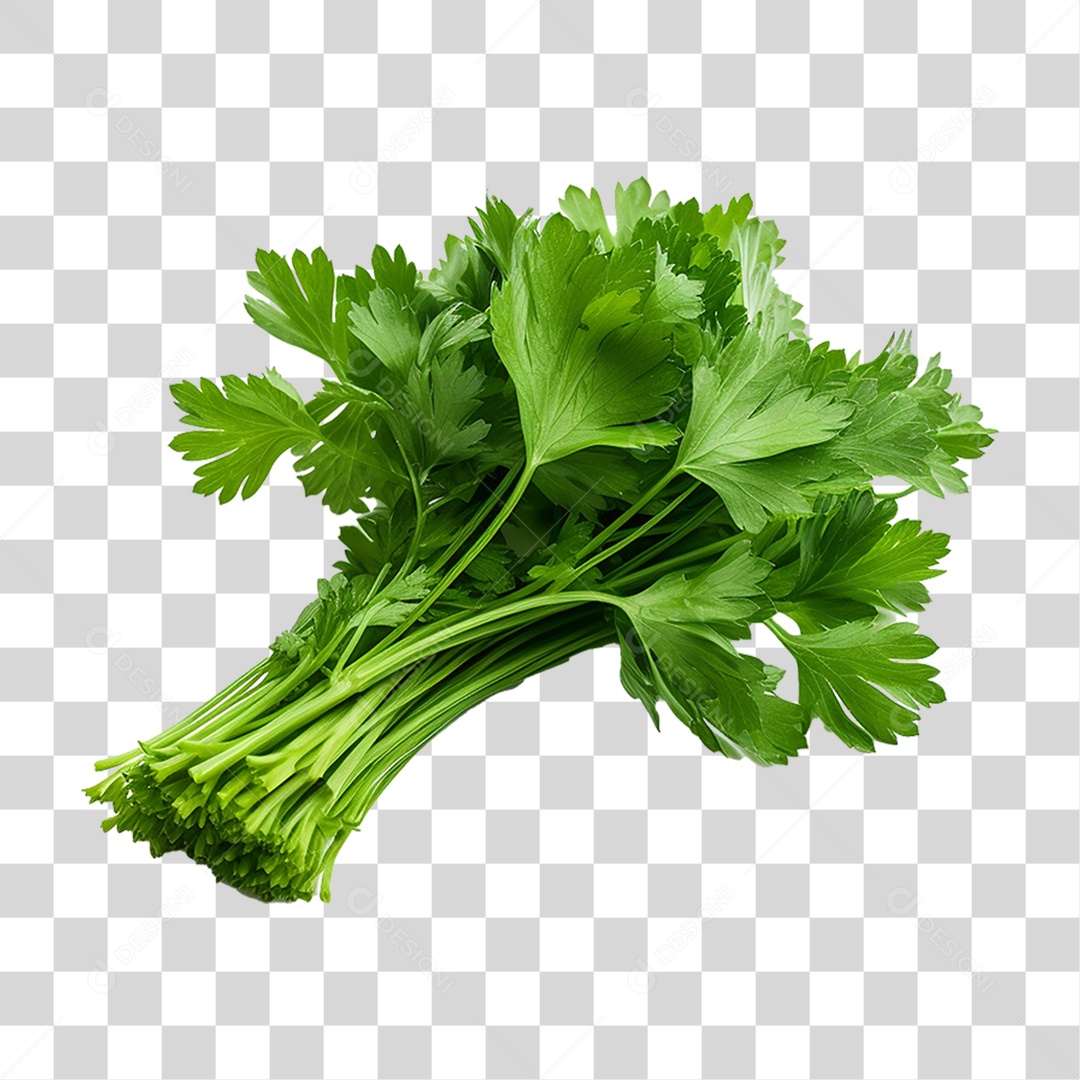 Salsinha Folha Verde PNG Transparente