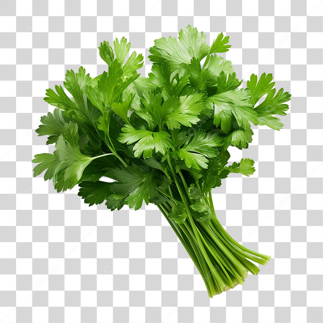 Salsinha Folha Verde PNG Transparente